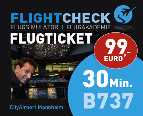 Flugsimulator Ticket 60 Minuten